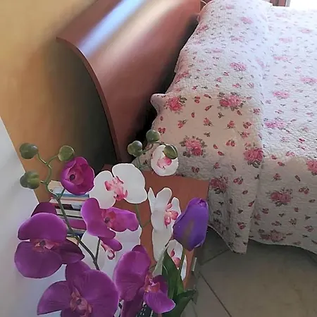 La Casa Di Eledo *